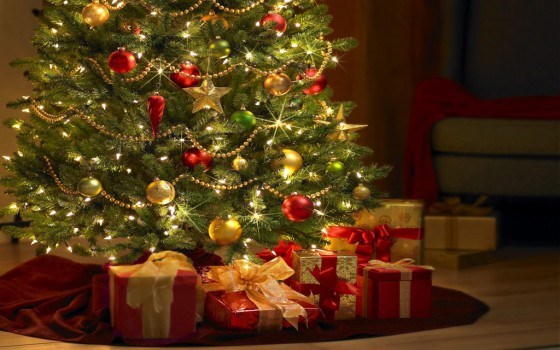 Beautiful-christmas-trees-skiulohn-design-1024x640-e1448634316562
