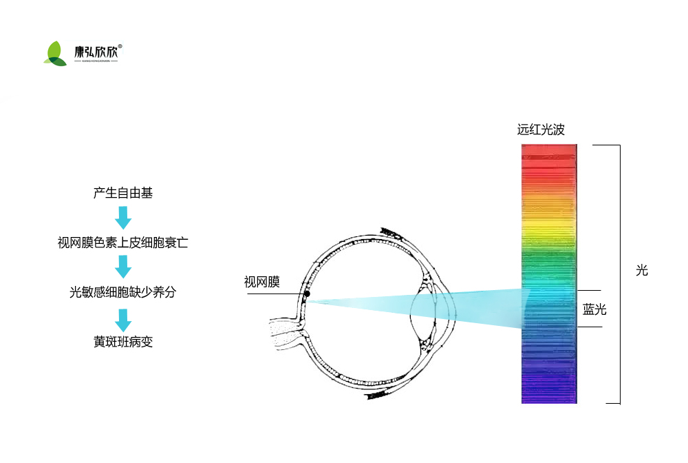 蓝光伤害