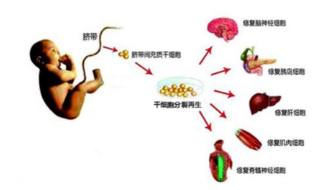 光能波为什么被称为生命之光？